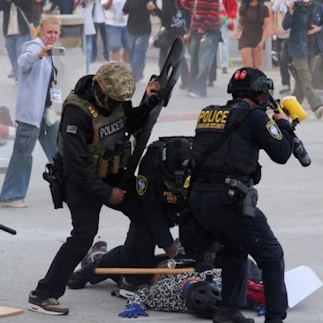 Pagan Solidarity Statement: On the Brutalization of Communities in Los Angeles