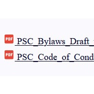 Draft Bylaws